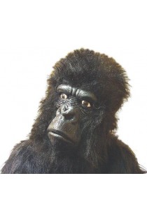 Gorilla Masks