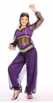 Ladies Harem Fancy Dress