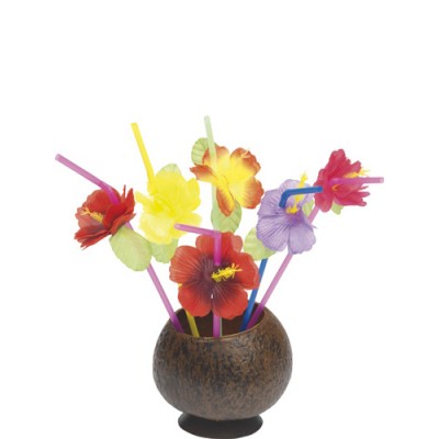 Flower Straws Hawaiian Fancy Dress Accessory