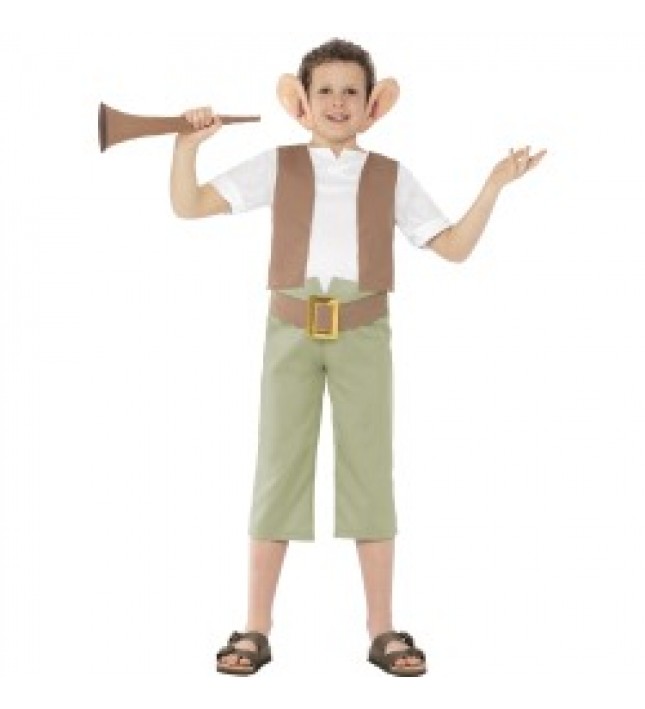 Roald Dahl BFG Costume