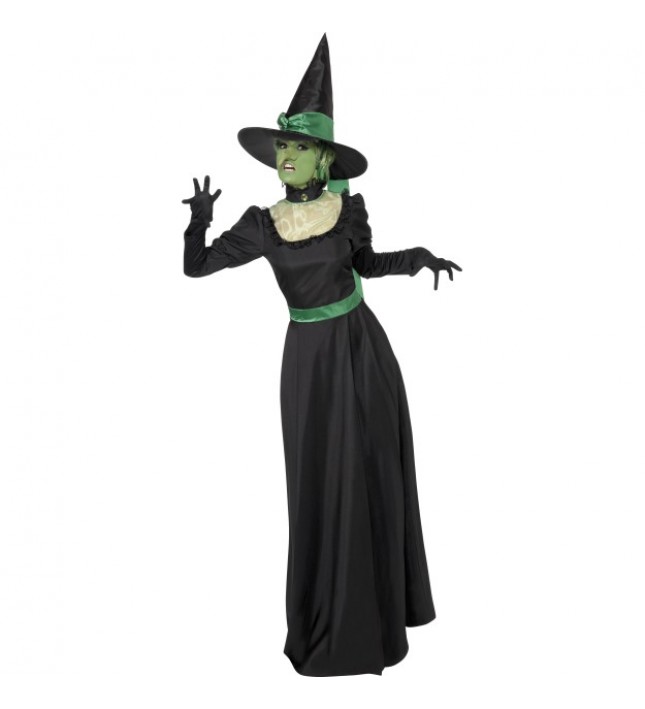 Wicked Witch Costume
