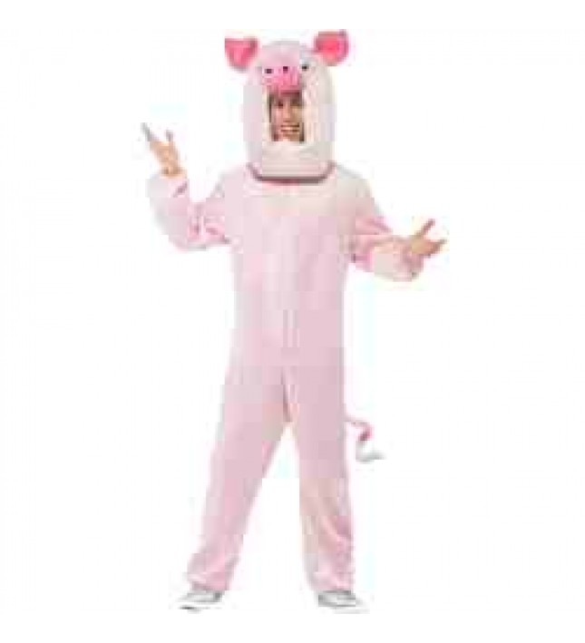 Pig Costume