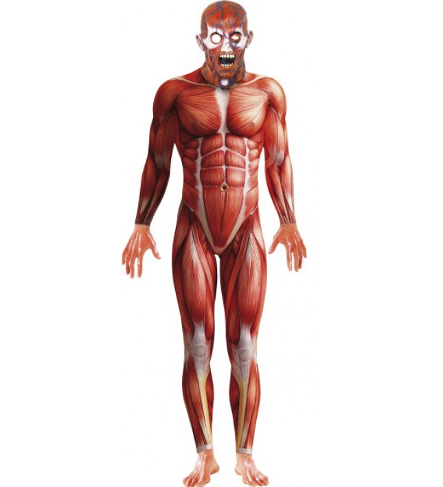 Anatomy Man Costume