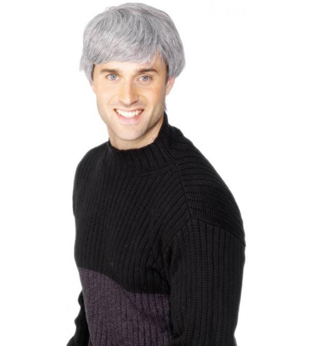 Modern Male Wig Grey Fancy Dress Smiffys