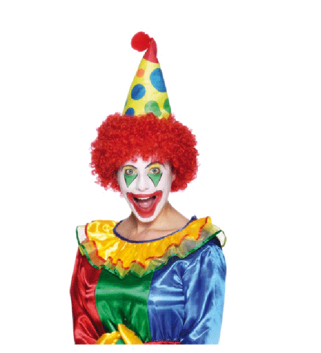Adult Clown Hat And Hair