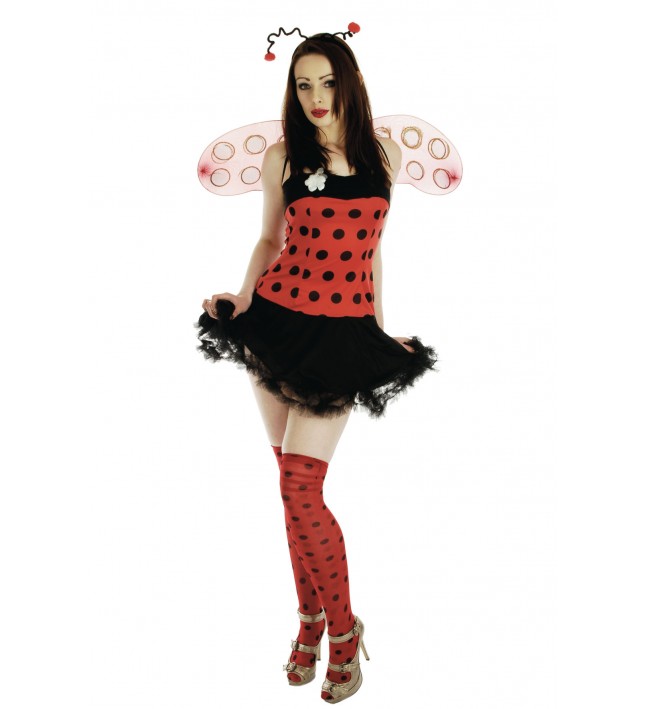 Lady Bug