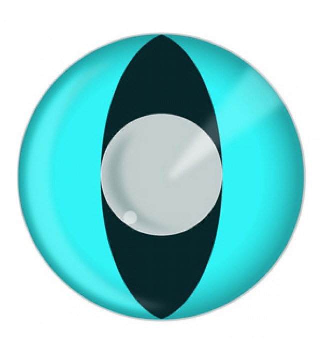 Cat Contact Lenses