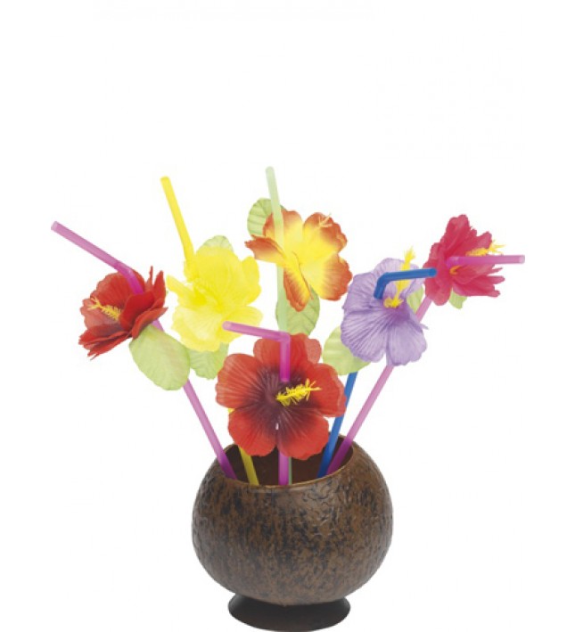 Flower Straws Hawaiian Fancy Dress Accessory