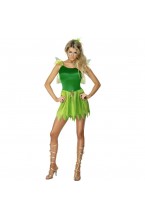 Fairy Woodland Tinkerbell Smiffys