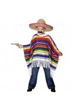 Childs Poncho Fancy Dress 