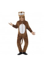 Child's Lion Costume