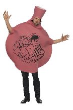 Whoopie Cushion Fancy Dress