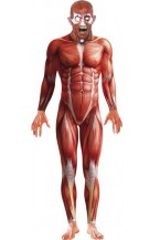 Anatomy Man Costume