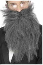 Long Grey Beard