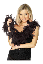 Black Feather Boa