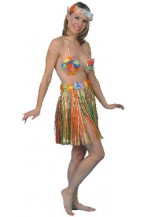 Multi Colour 46cm Hula Skirt Smiffys