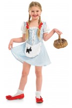 Dorothy Fancy Dress Costume