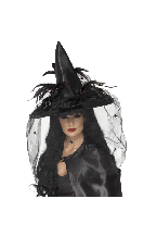 Ladies Halloween Fancy Dress Witch Hat