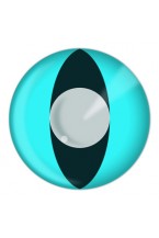 Cat Contact Lenses