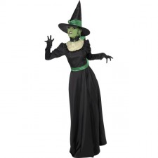 Wicked Witch Costume