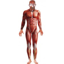 Anatomy Man Costume