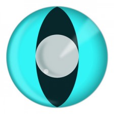 Cat Contact Lenses