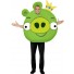 Angry Birds Pig Costume