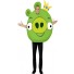 Angry Birds Pig Costume