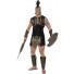 Achilles costume 