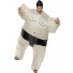 Sumo Wrestler Costume