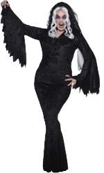 Ladies Plus Size Halloween Costumes