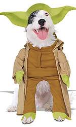 Pet Costumes