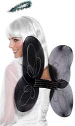 Wings Wands And Net Skirts